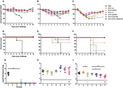 Cross-Protective Potential and Protection-Relevant Immune Mechanisms of Whole Inactivated Influenza Virus Vaccines Are Determined by Adjuvants and Route of Immunization